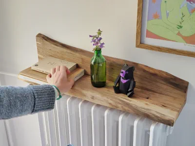 02 Prestatgeria just instal·lada